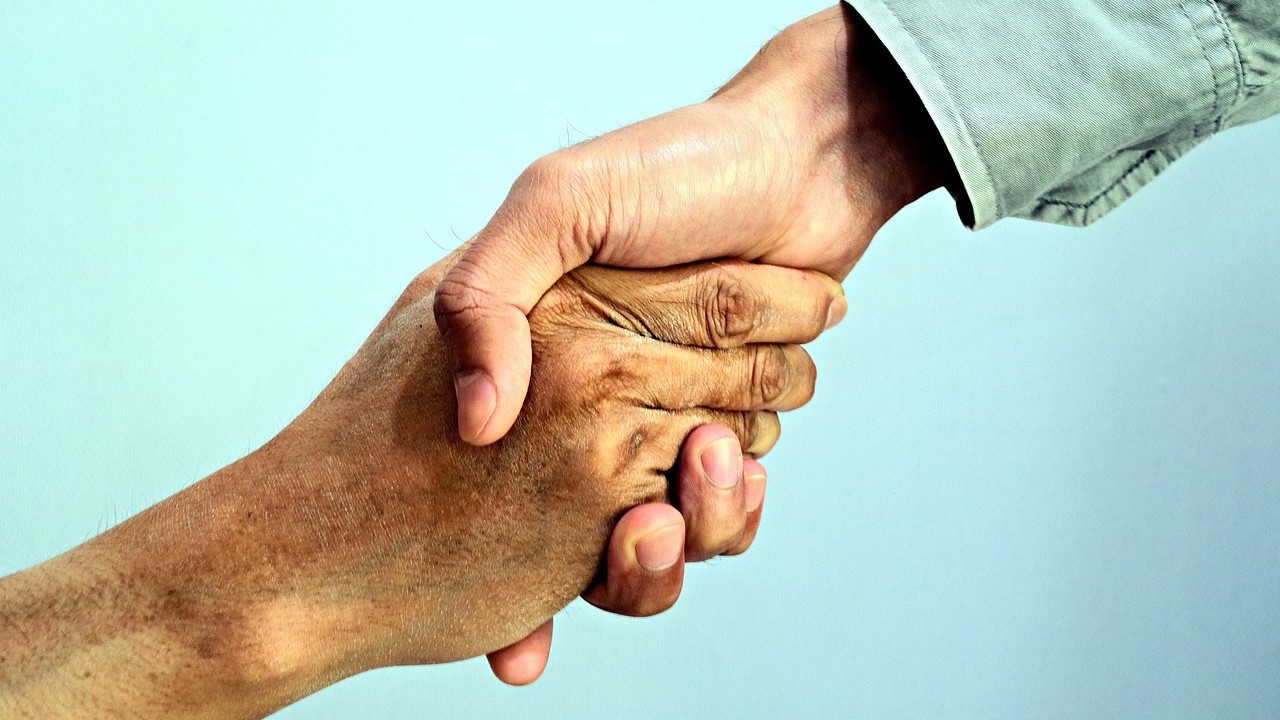 Animeret billede af mand med hat siddende på bænk, kiggende på fugl