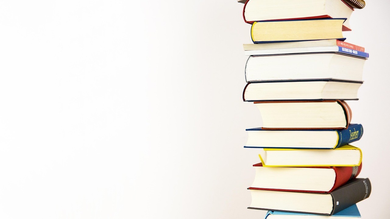 Mand siddende på bænk kiggende på flyvende fugl