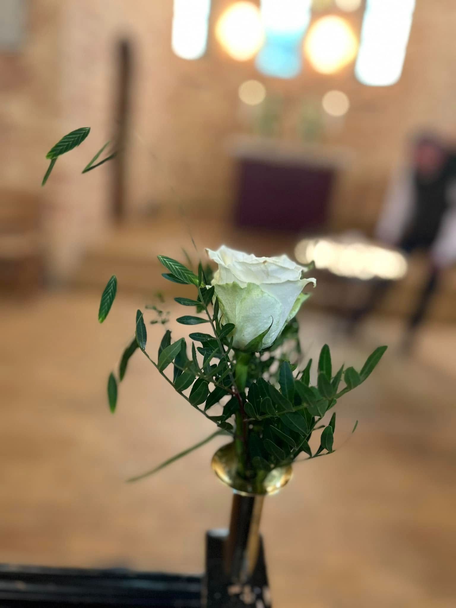 Hvid rose i kirkebænk