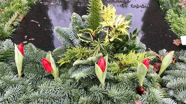 Gravsted med gran og røde tulipaner